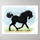 Zoek naar zwart paard posters Ruiter