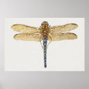 Zoek naar moth kunst Insect
