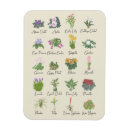 Zoek naar duim magneten Schattig