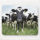 Zoek naar camera muismatten Humor