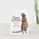 Zoek naar ratten kaarten Dier