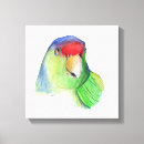 Zoek naar parkiet kunst Dieren