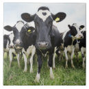 Zoek naar woon tegels Humor