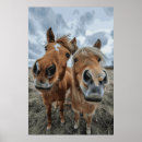 Zoek naar grappige paarden kunst Foto