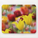 Zoek naar tulpen muismatten Lente