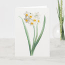 Zoek naar redoute bloemen kaarten Illustratie