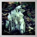 Zoek naar pijp posters Voor haar