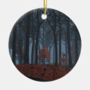 Zoek naar mist ornamenten Winter