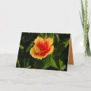 Zoek naar hibiscus kaarten Geel