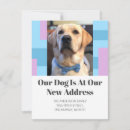 Zoek naar labrador retriever briefkaarten Nieuw adres