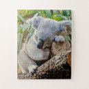 Zoek naar koala puzzels Natuur