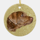 Zoek naar labrador dog ornamenten Kerstmis