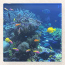 Zoek naar vissen onderzetters Aquarium