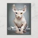 Zoek naar elf briefkaarten Elk persoon