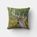 Zoek naar book kussens Elk persoon