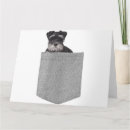 Zoek naar schnauzer honden kaarten Hondenliefhebber