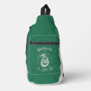 Zoek naar harry accessoires Slytherin