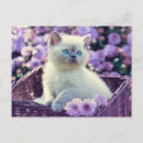 Zoek naar lila bloemen briefkaarten Voor iedereen