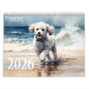 Zoek naar poedels kalenders Hondenkalender