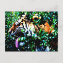 Zoek naar zwarte witte tijger briefkaarten Oranje