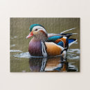 Zoek naar wilde eend puzzels Water