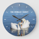 Zoek naar zwanen klokken Watervogel