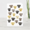 Zoek naar chocolade labrador retriever kaarten Huisdier