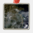 Zoek naar hazen ornamenten Fotografie