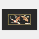 Zoek naar goudvis stickers Koi