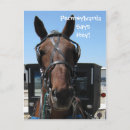 Zoek naar hey posters Paarden