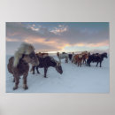 Zoek naar sneeuw posters Paarden
