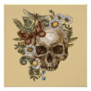 Zoek naar vintage vlinders posters Bloem