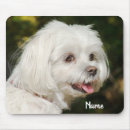 Zoek naar onzin muismatten Dieren