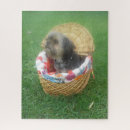 Zoek naar yorkshire puzzels Hond