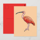 Zoek naar ibis briefkaarten Sjaal