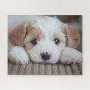 Zoek naar baby animal puzzels Puppy
