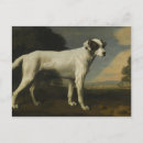 Zoek naar george stubbs briefkaarten Dieren