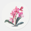 Zoek naar roze orchidee stickers Tuin