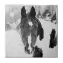 Zoek naar horse tegels Winter