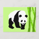Zoek naar panda briefkaarten Bamboe
