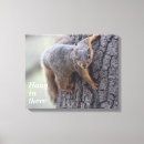 Zoek naar grappige eekhoorn kunst Natuur