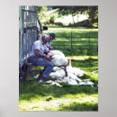 Zoek naar scheer posters Schapen
