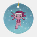 Zoek naar axolotl ornamenten Kerst