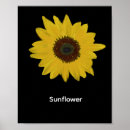 Zoek naar zonnebloemen posters Voor hem/haar