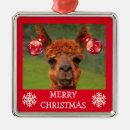 Zoek naar lama ornamenten Schattig