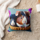 Zoek naar cavia kussens Grappig
