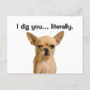 Zoek naar leuke chihuahua briefkaarten Voor iedereen