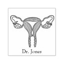 Zoek naar eierstokken posters Baarmoeder