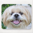 Zoek naar vrolijke muismatten Glimlachen