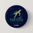 Zoek naar schildpad buttons Zee